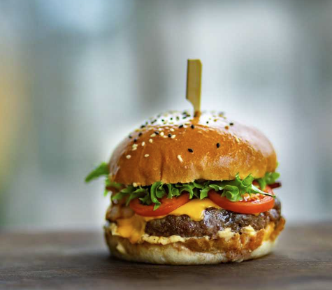 Burger Cesitleri